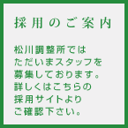 �̗p���T�C�g��